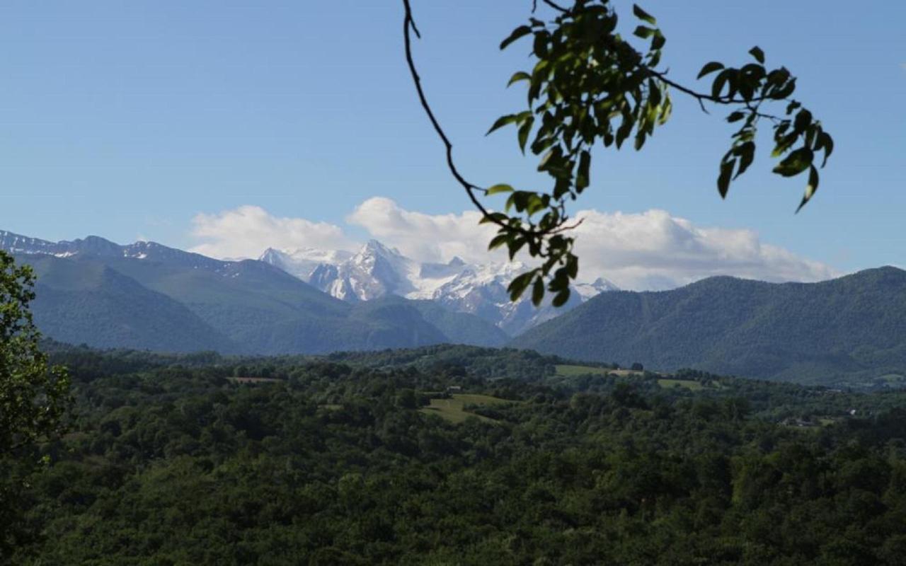 La Ferme Dagué Panzió Lasseube Kültér fotó